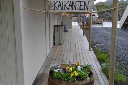Kaikanten Rorbuer Sennesvik Екстериор снимка